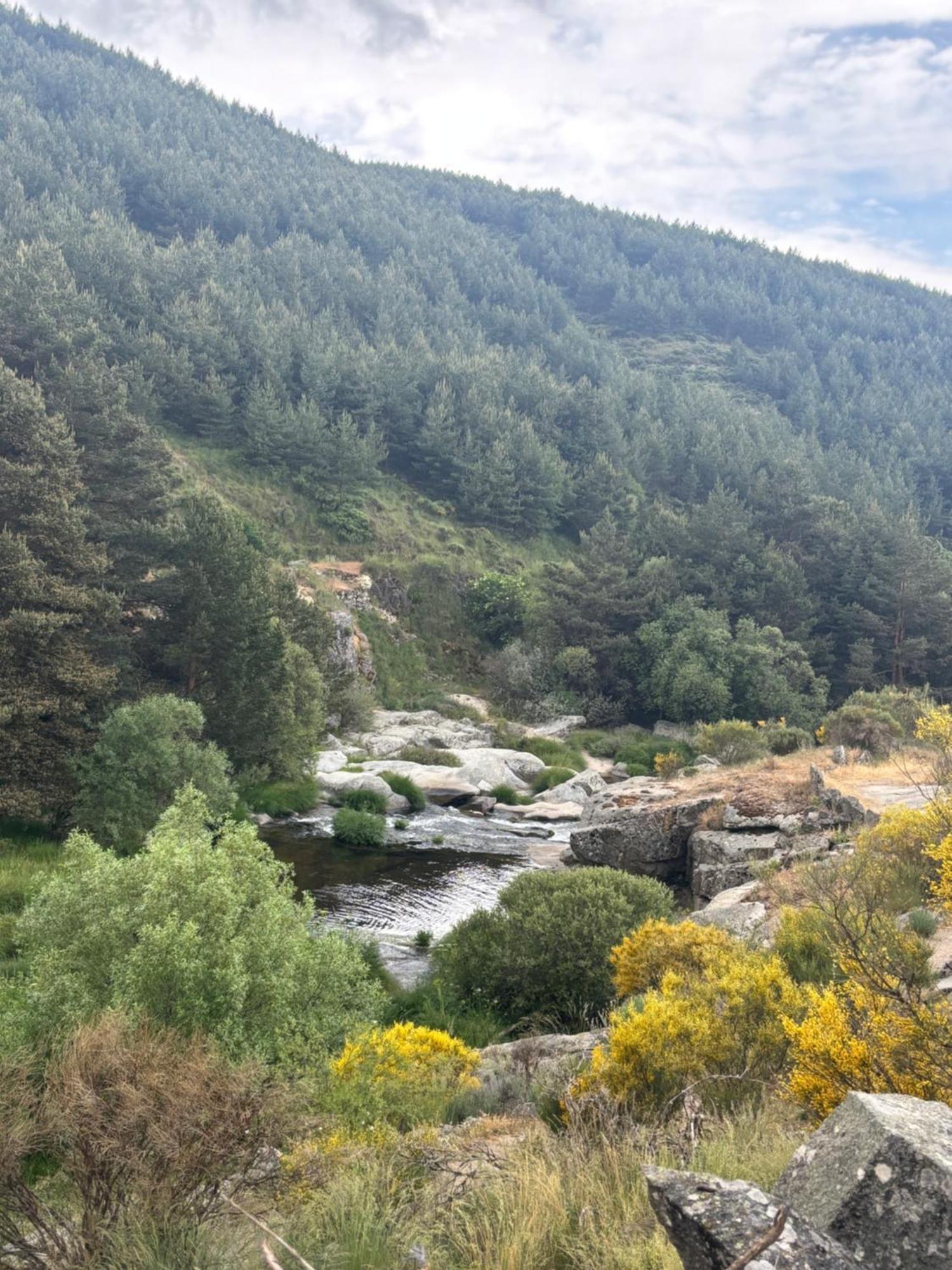 Villa De Gredos 나바레돈다 데 그레도스 외부 사진